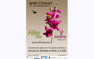 Image / illustration