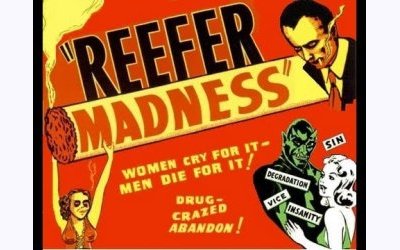 Image / illustration