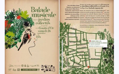 Image / illustration