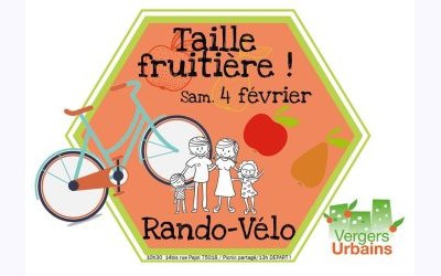 Image / illustration