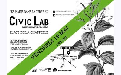 Image / illustration