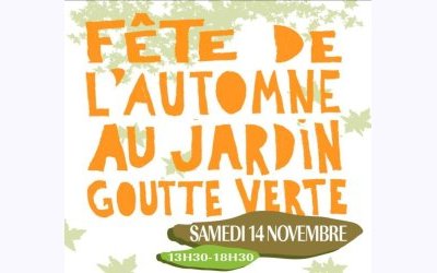 Image / illustration