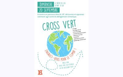 Image / illustration