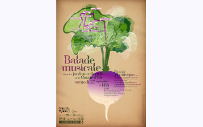 Image / illustration