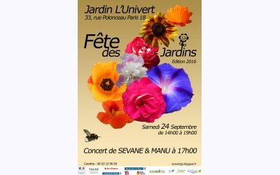 Image / illustration