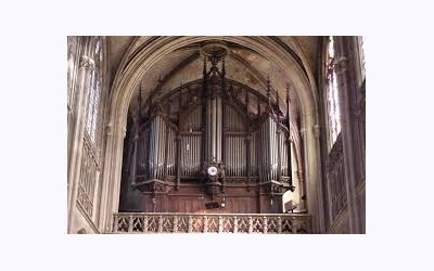 Image / illustration