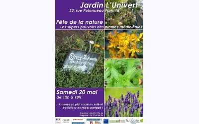 Image / illustration