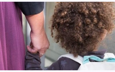 Image / illustration