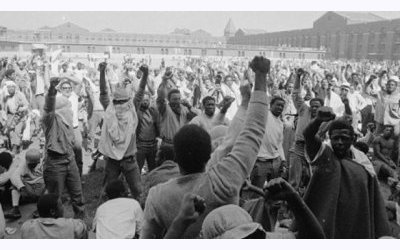 Image / illustration