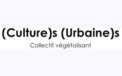 Image / illustration