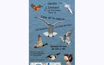 Image / illustration