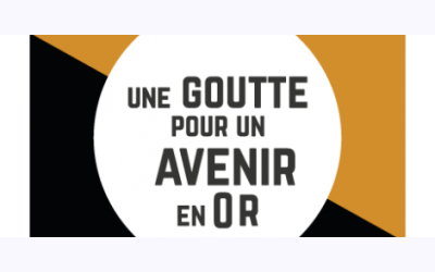 Image / illustration