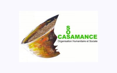 Image / illustration