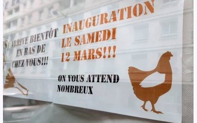 Image / illustration