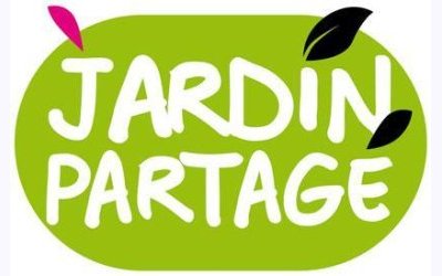 Image / illustration