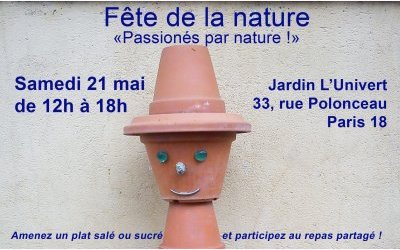 Image / illustration