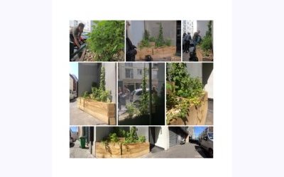 Image / illustration