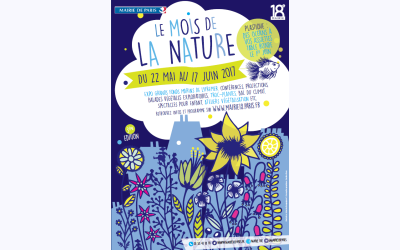 Image / illustration